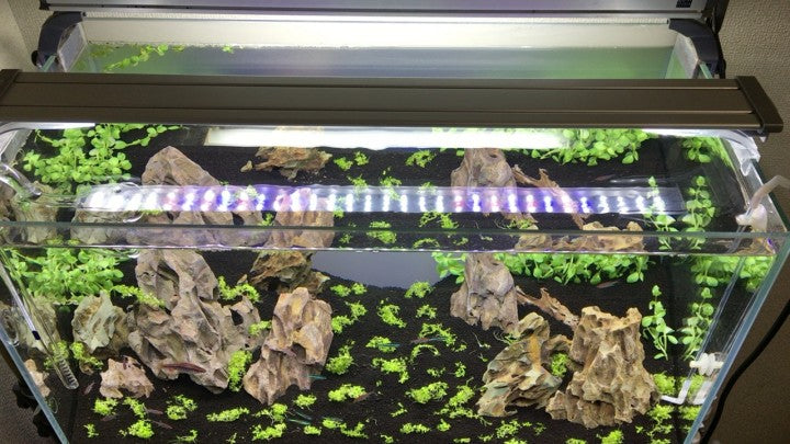Finnex Aquarium LED Stingray 2.0 Series: 12, 16, 20, 24, 30, 36, 48 inches