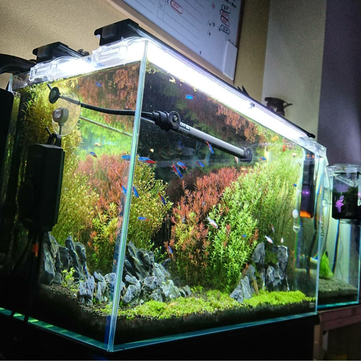 Finnex Aquarium LED Stingray I Series: 12, 16, 20, 24, 30, 36, 48 inches