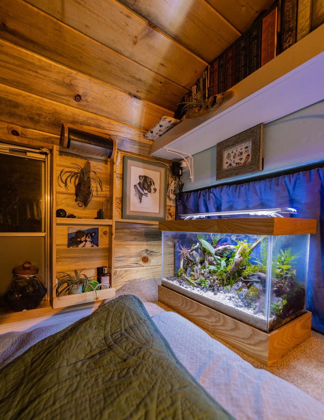 Finnex Aquarium LED Planted+ HLC 24/7 Series: 20, 24, 30, 36, 48 inche